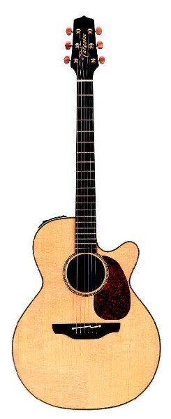 Best prices on Takamine guitars for delivery to France